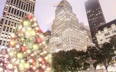 Experience the Magic of New York City During the Holidays